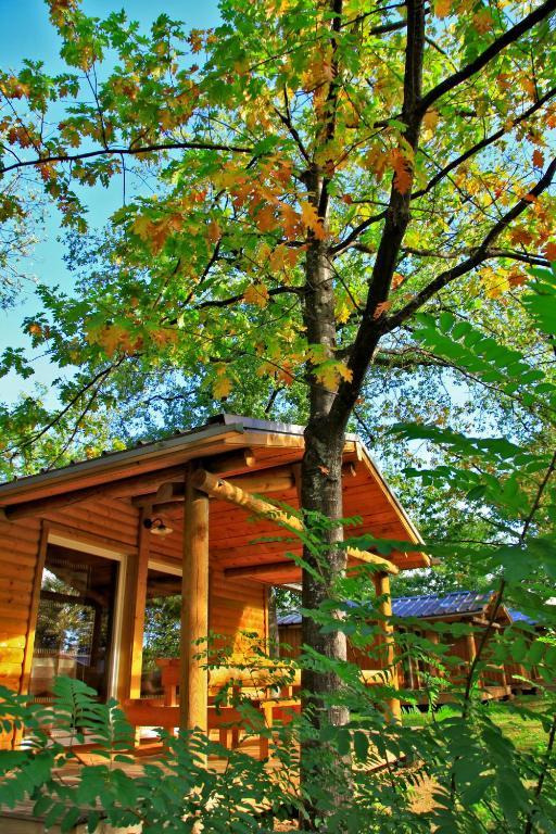 Albirondack Camping Lodge & Spa Номер фото